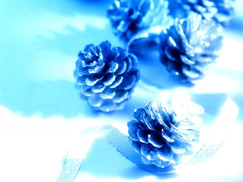 Blue pine cones on ribbon