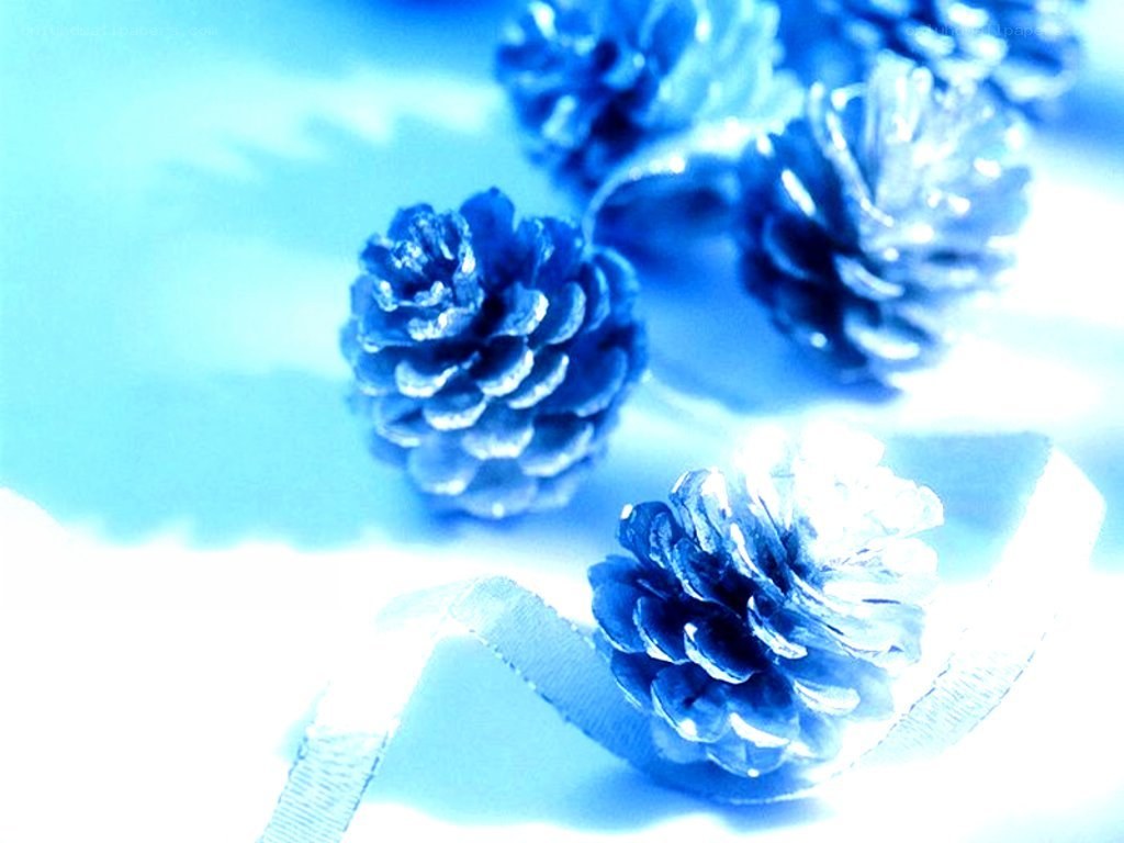Blue pine cones on ribbon