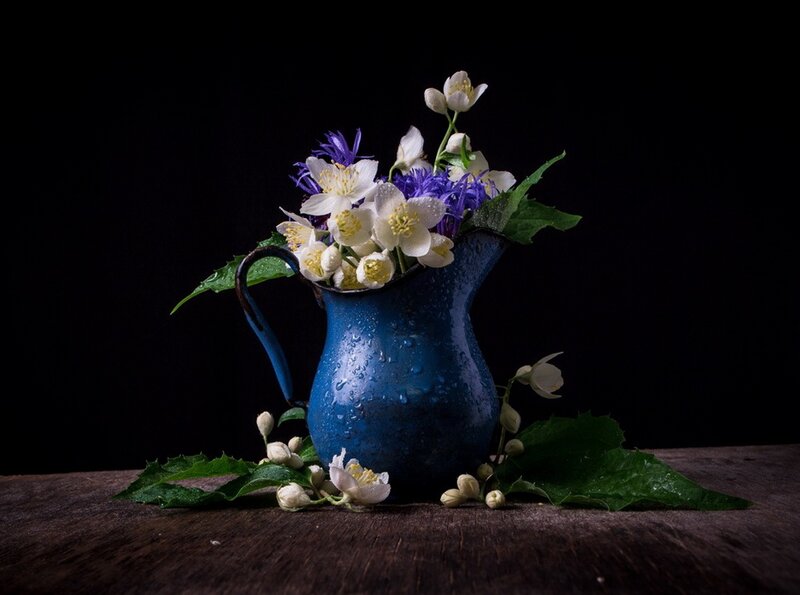 Blue Pitcher with Flowers — Dramatic