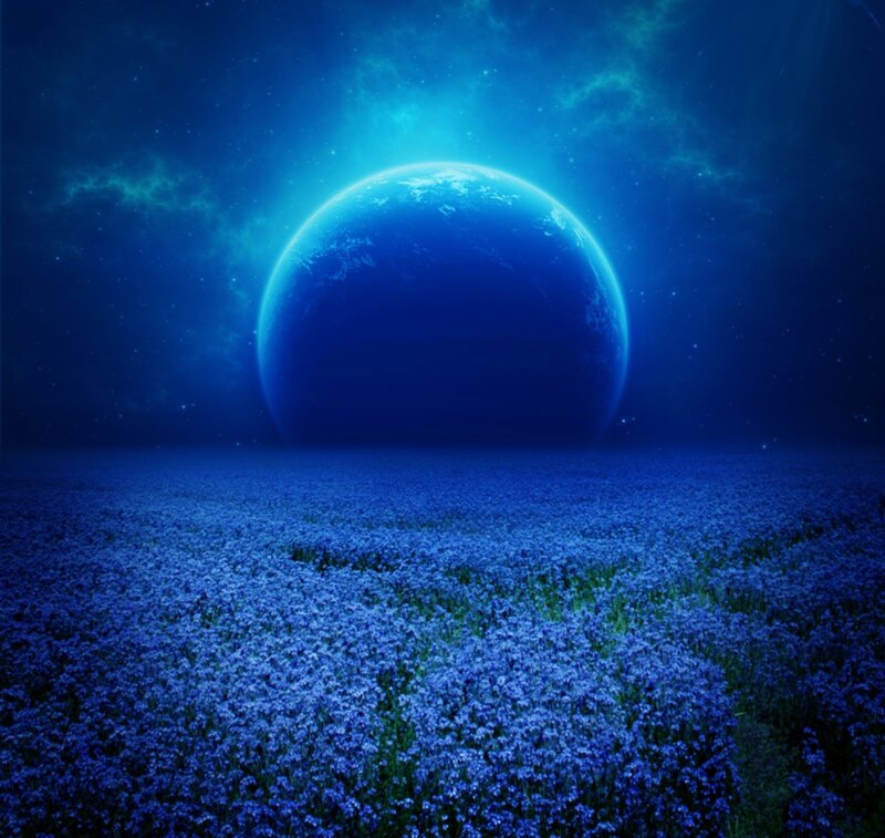 Blue Planet over Flower Field