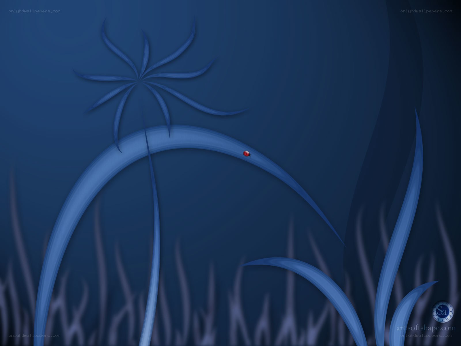 Blue plant with ladybug