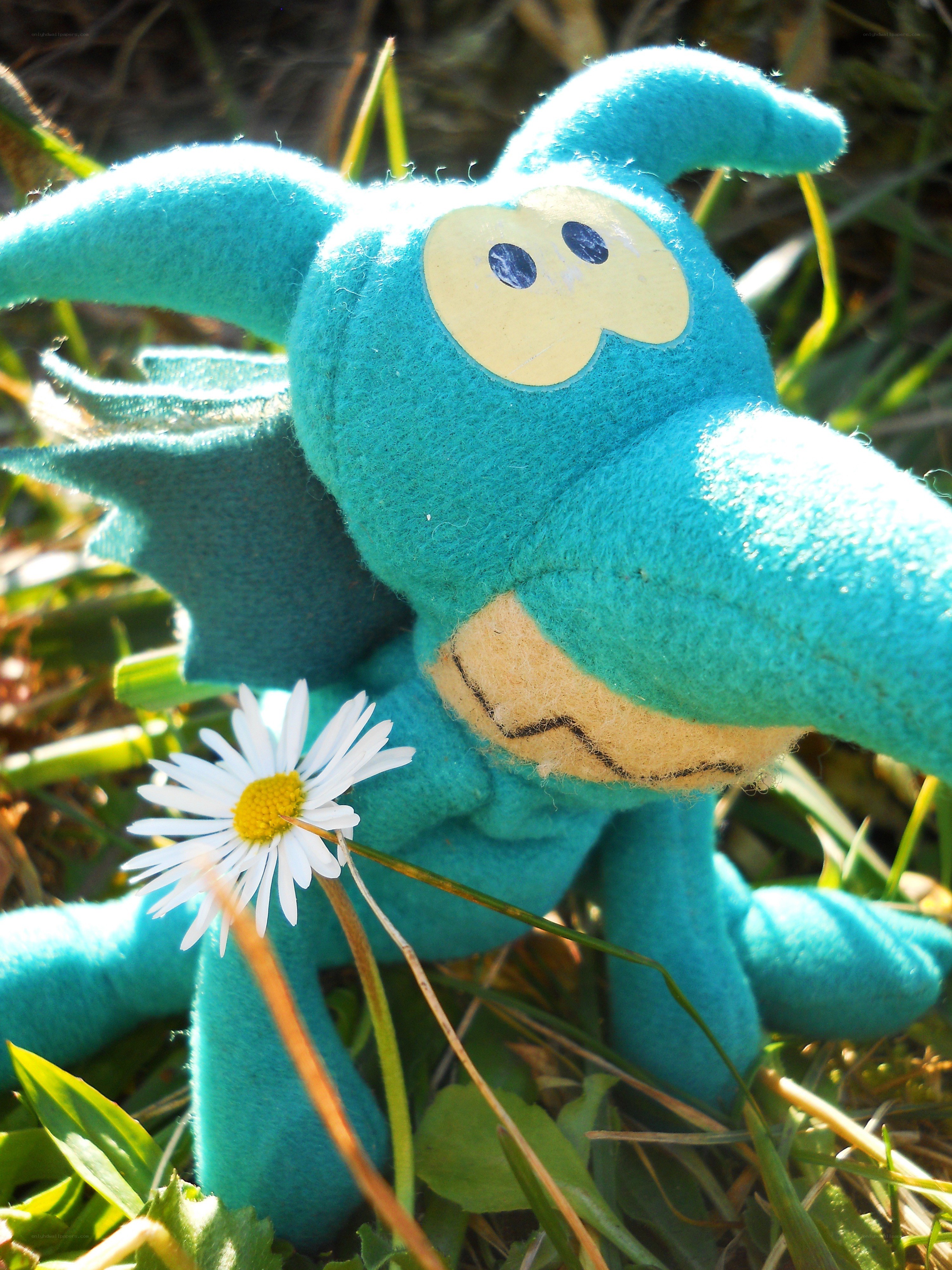 Blue plush toy in grass