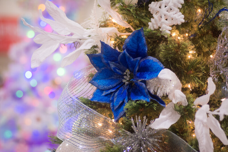 Blue Poinsettia on Tree