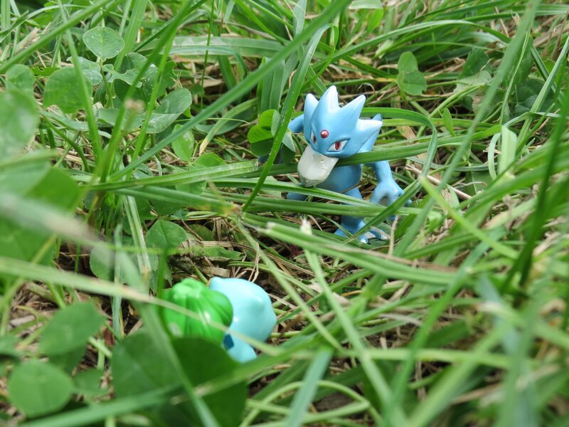 Blue Pokémon Toy