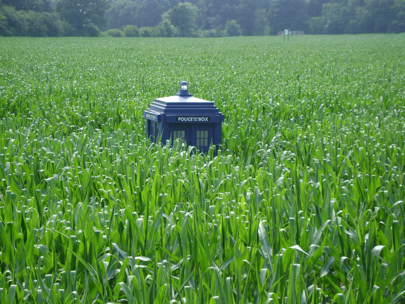 Blue Police Box in Field — Green