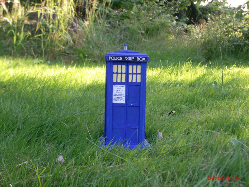 Blue police box in grass