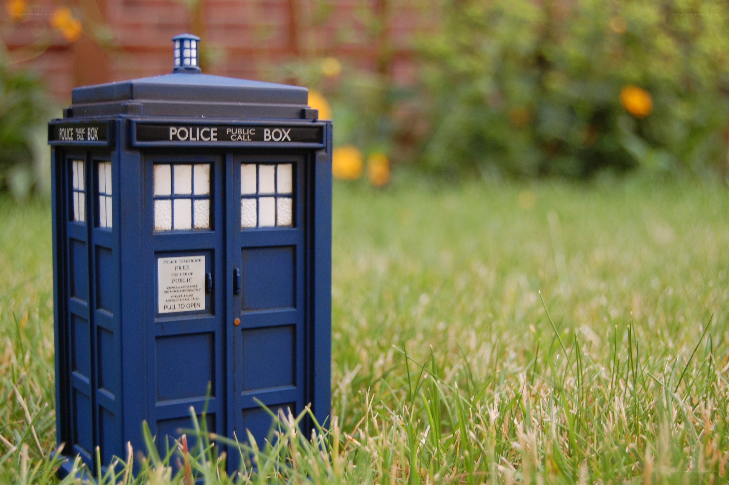 Blue police box in grass
