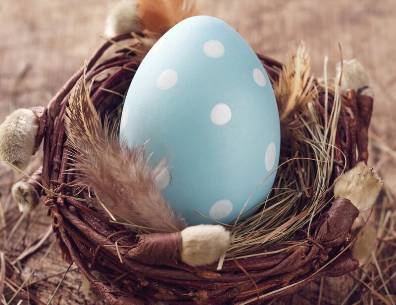 Blue Polka-dot Egg
