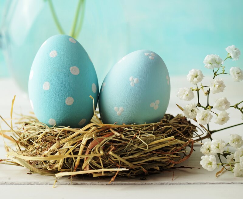 Blue Polka-dot Eggs