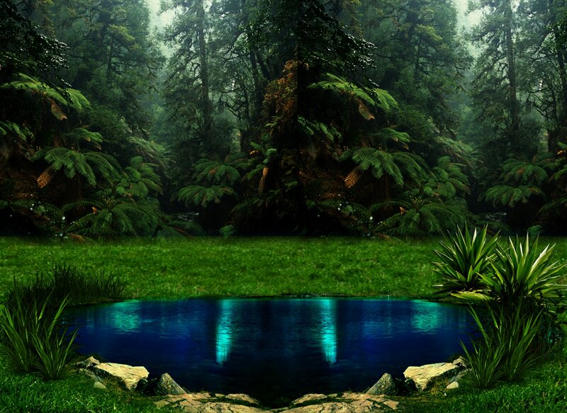 Blue Pond in Forest — Green