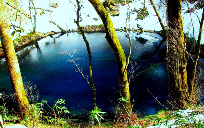 Blue Pond in Forest — Serene