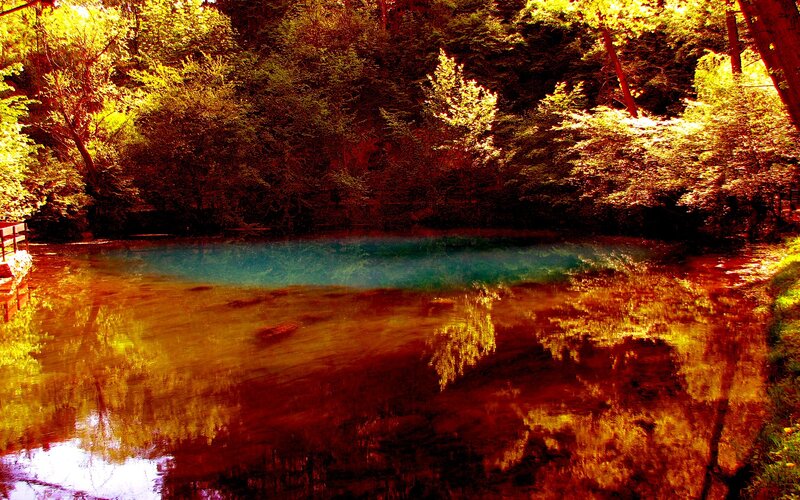 Blue Pond in Forest