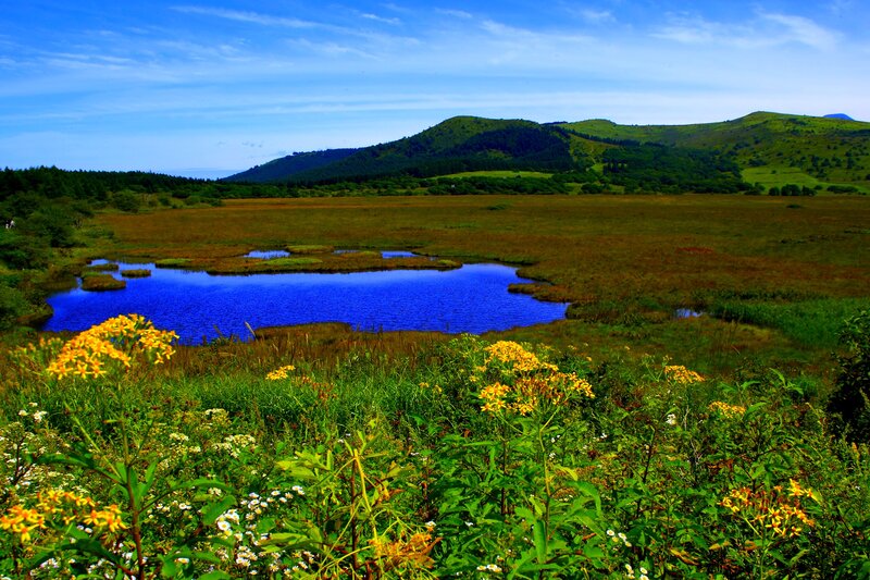 Blue Pond in Marsh