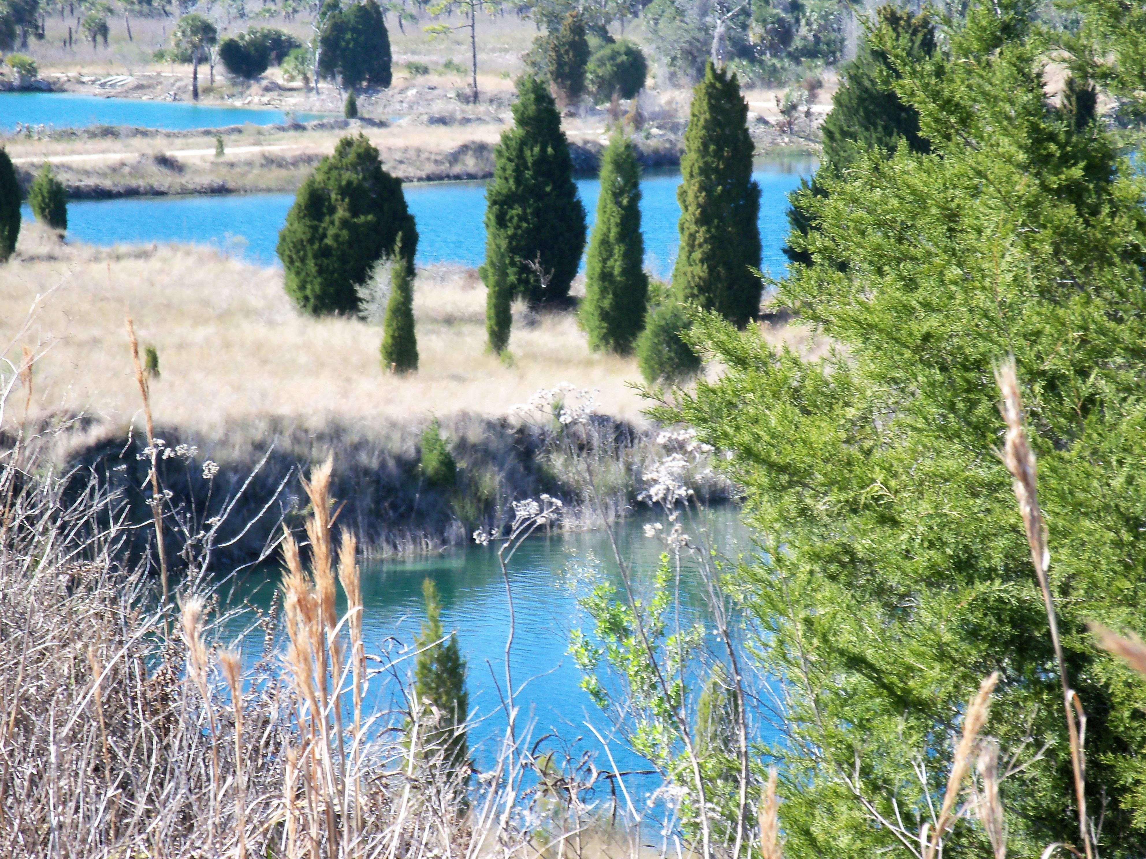 Blue ponds with cypress trees