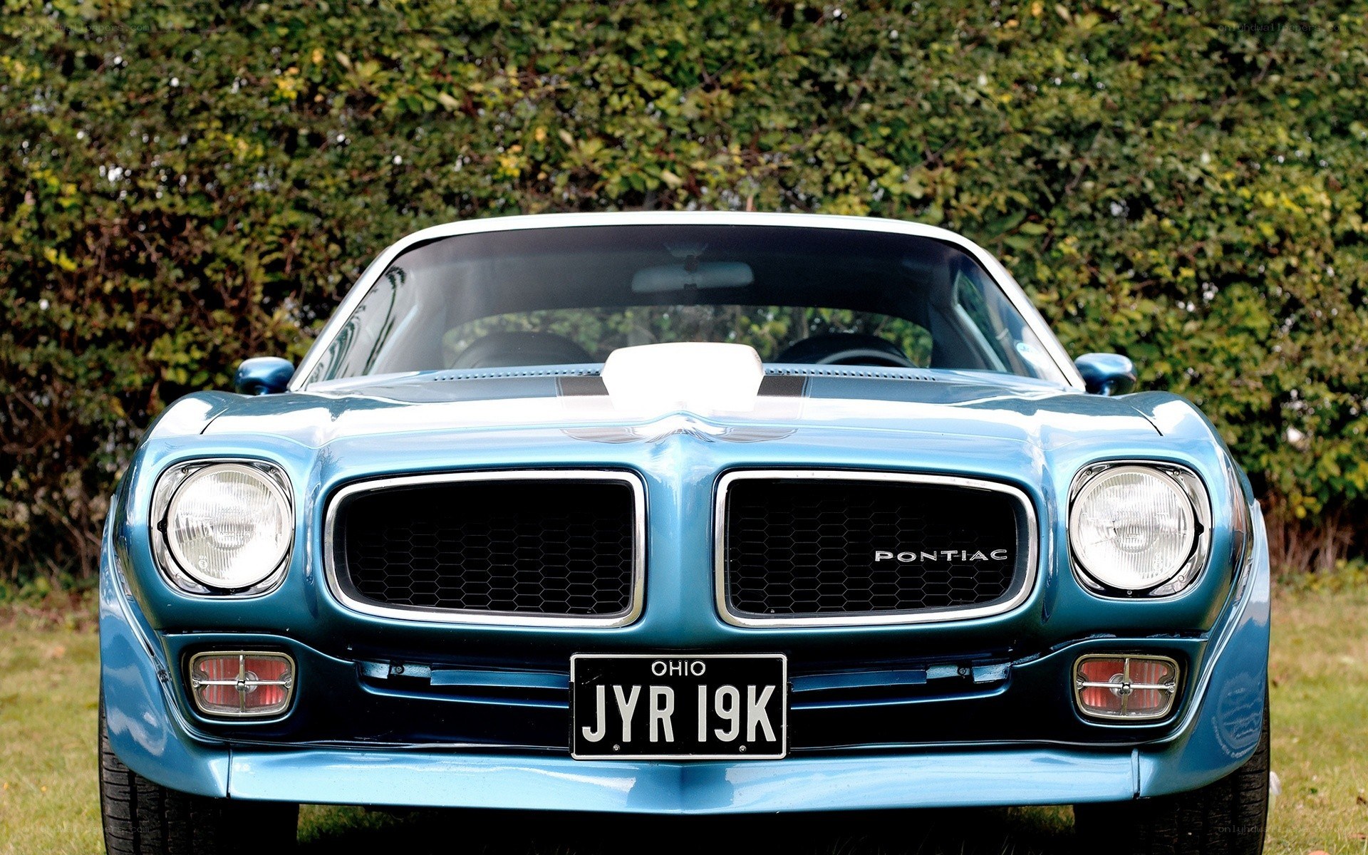 Blue Pontiac Firebird front view