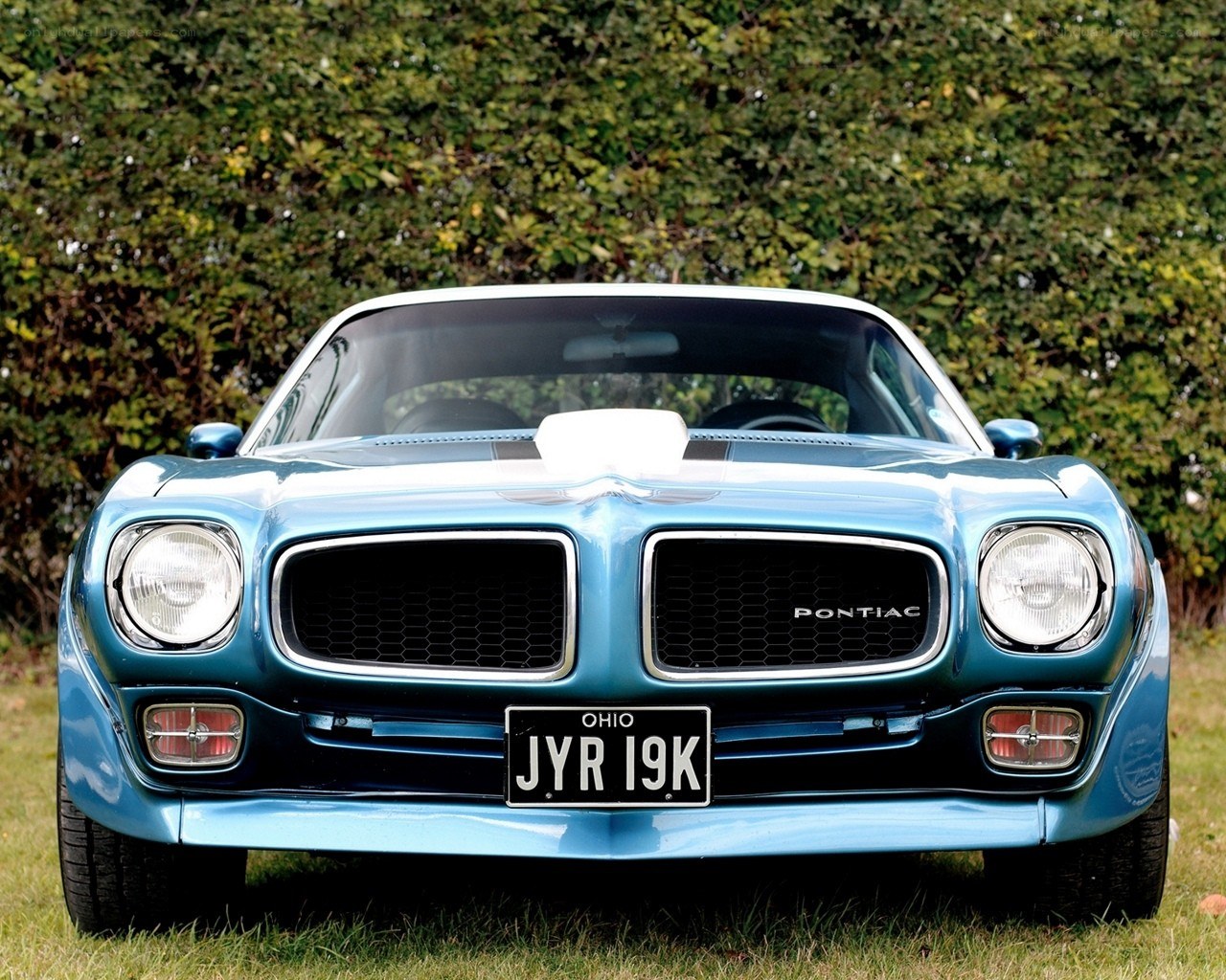 Blue Pontiac Firebird front view