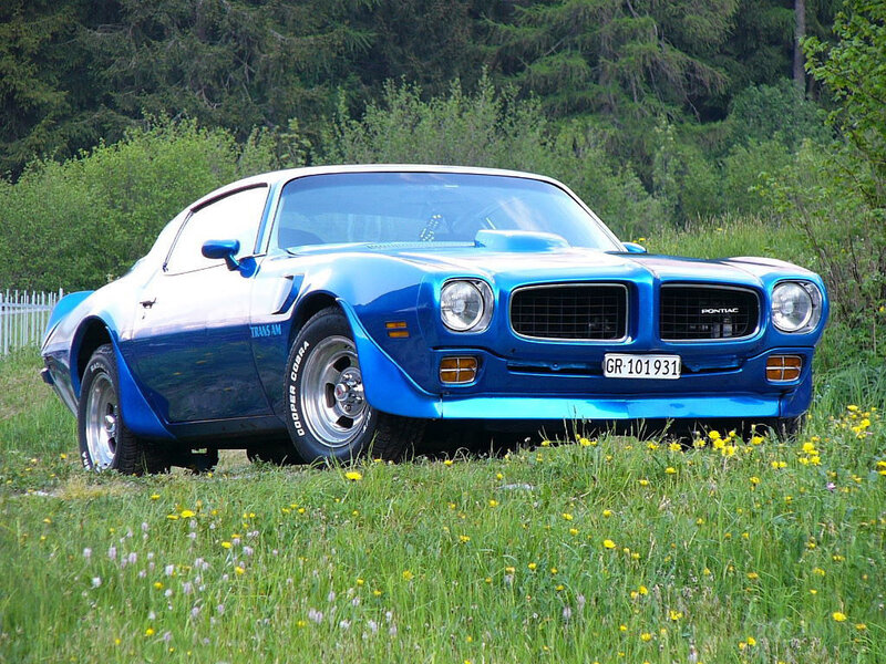 Blue Pontiac Firebird in a field