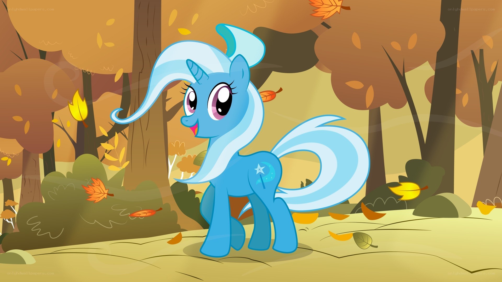 blue pony in autumn forest
