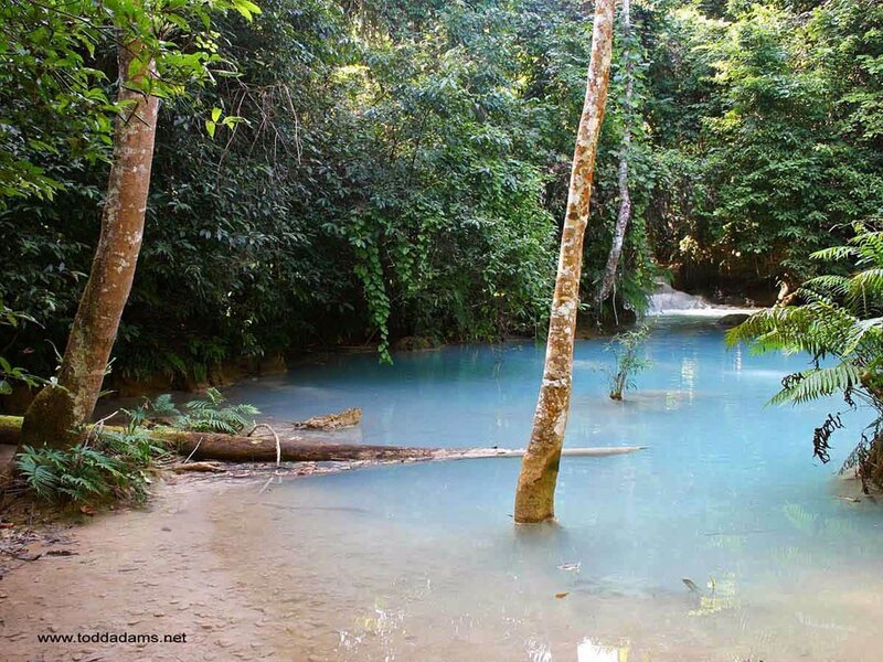 blue pool in tropical forest