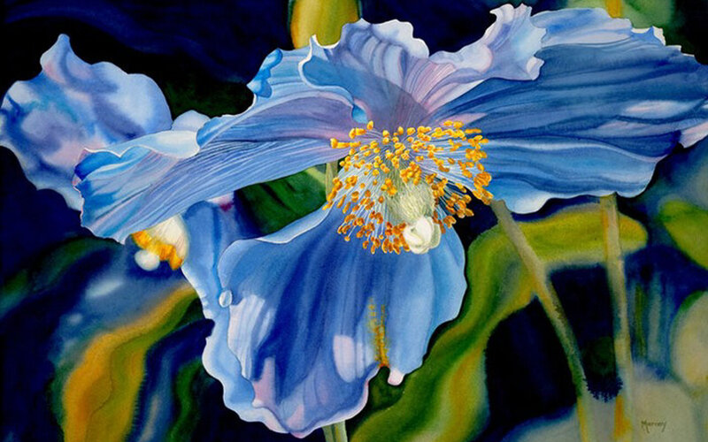 Blue Poppy Flower — Dramatic, Painting
