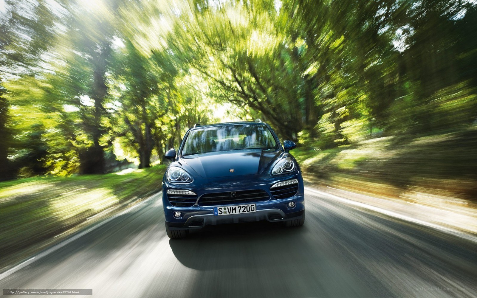Blue Porsche driving on a forest road