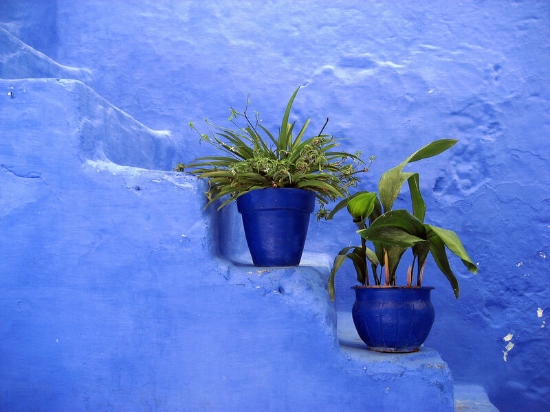 Blue pots on blue steps