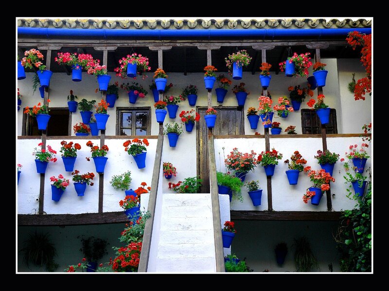 Blue pots with flowers on a building
