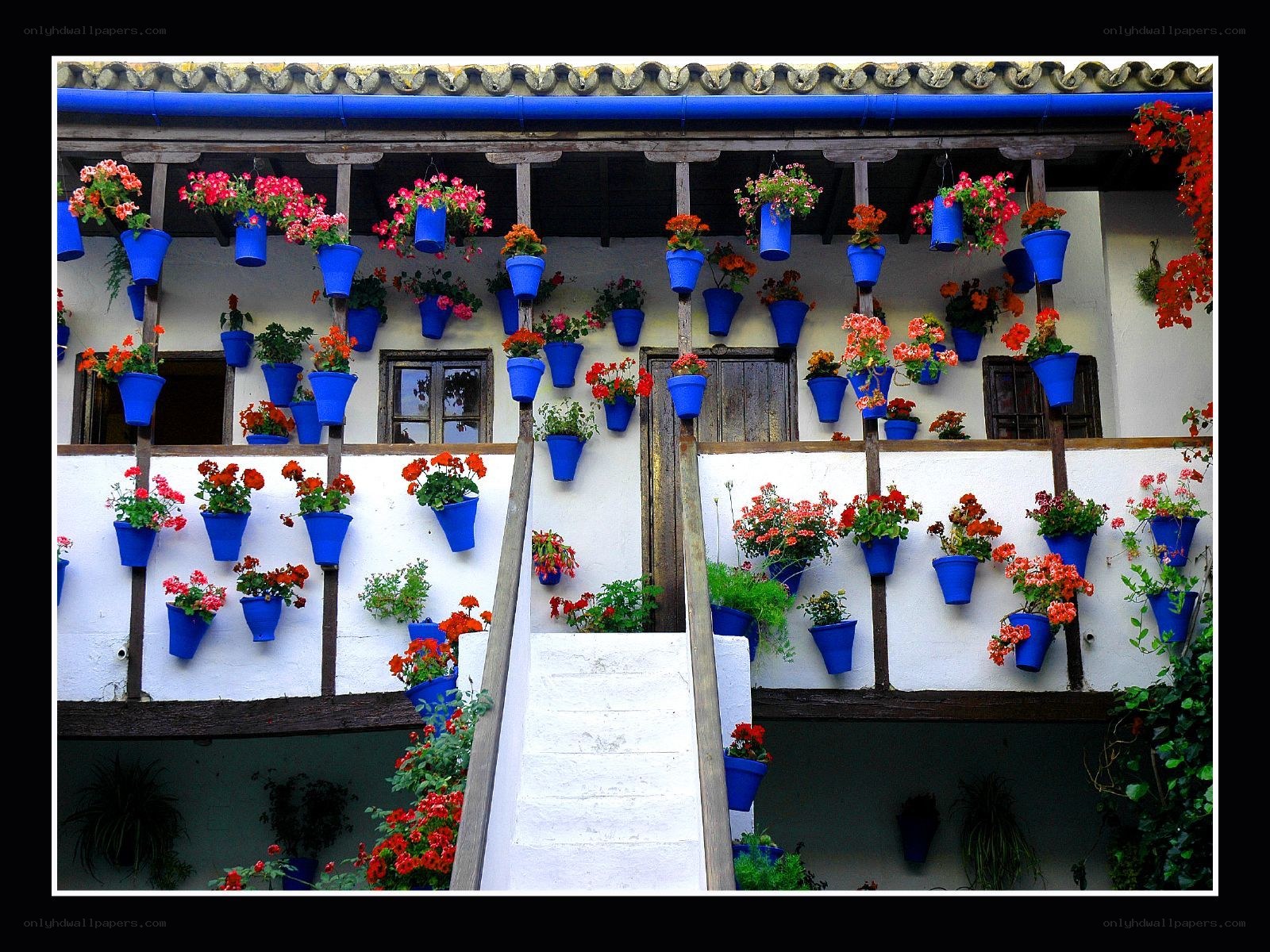 Blue pots with flowers on a building