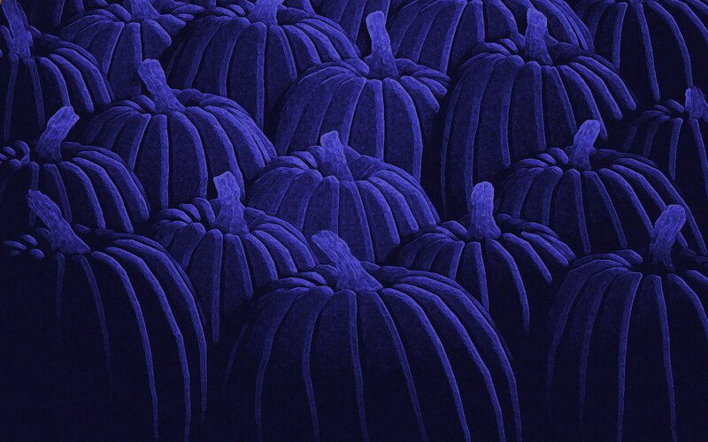 blue pumpkins pattern