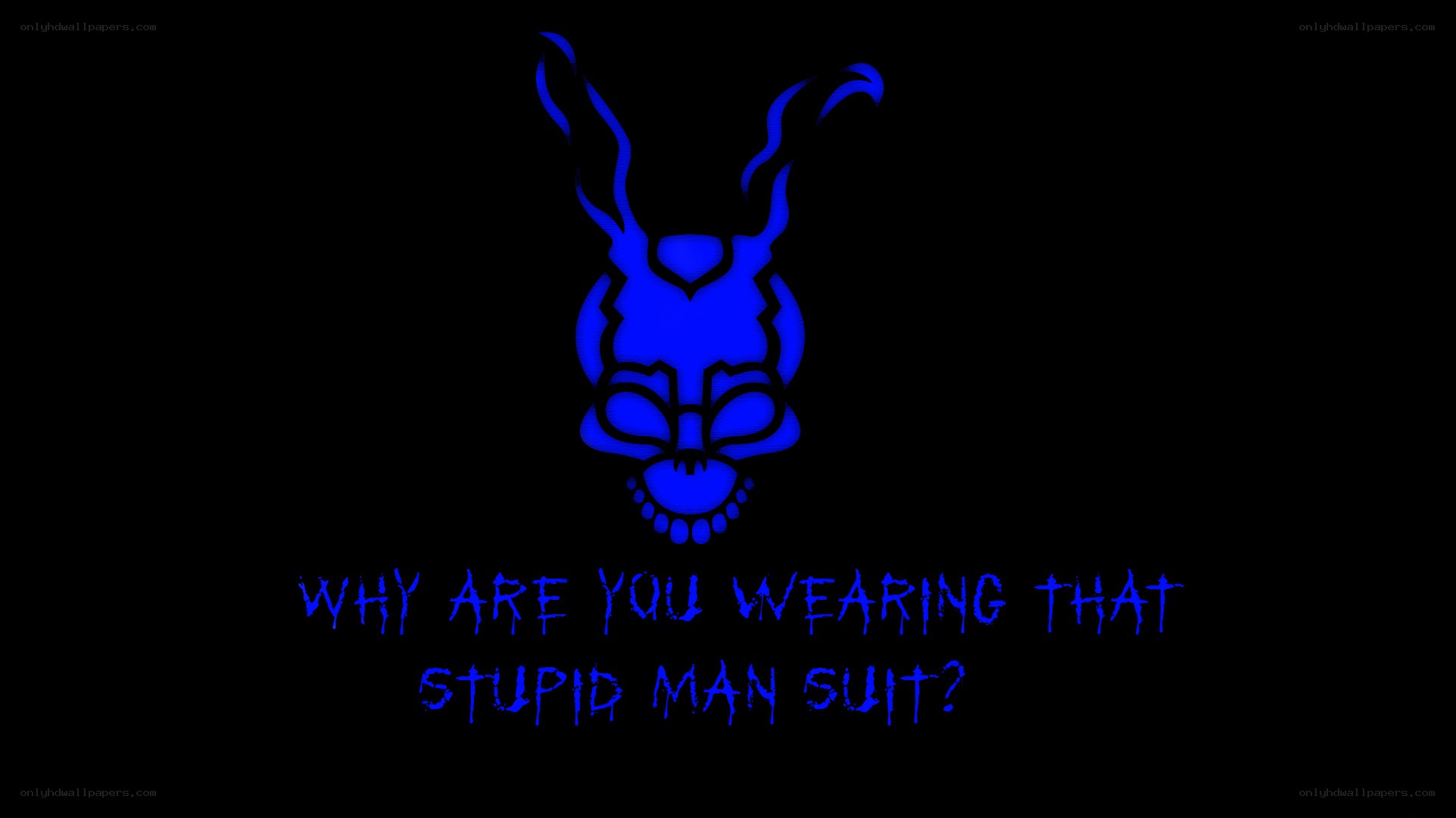 blue rabbit skull image