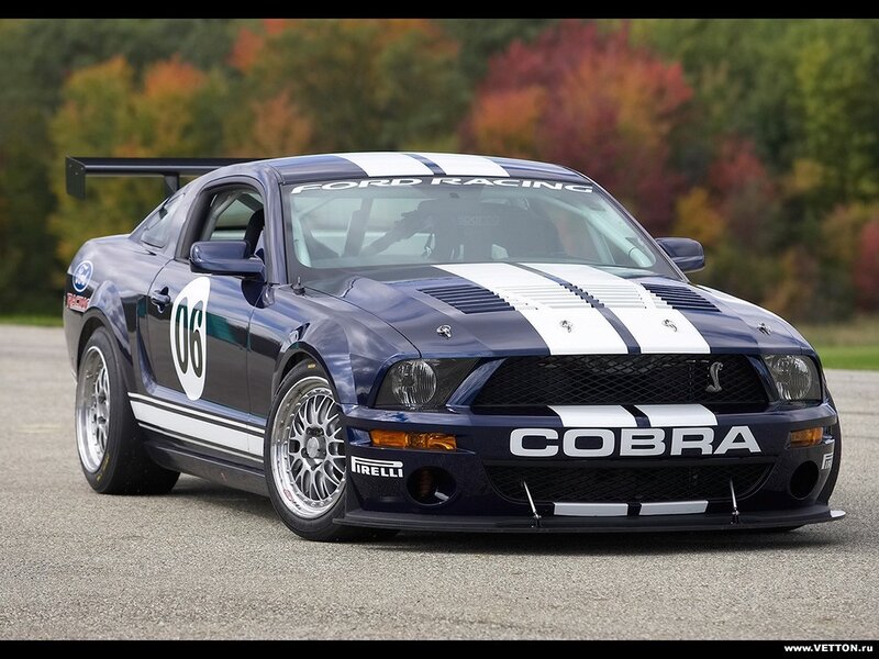 Blue Race Car — Dynamic, Autumn