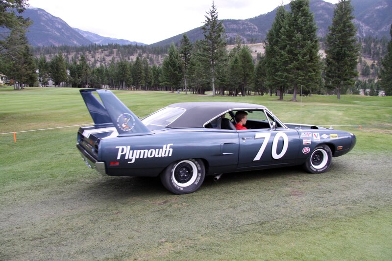 Blue Race Car on Grass — Green