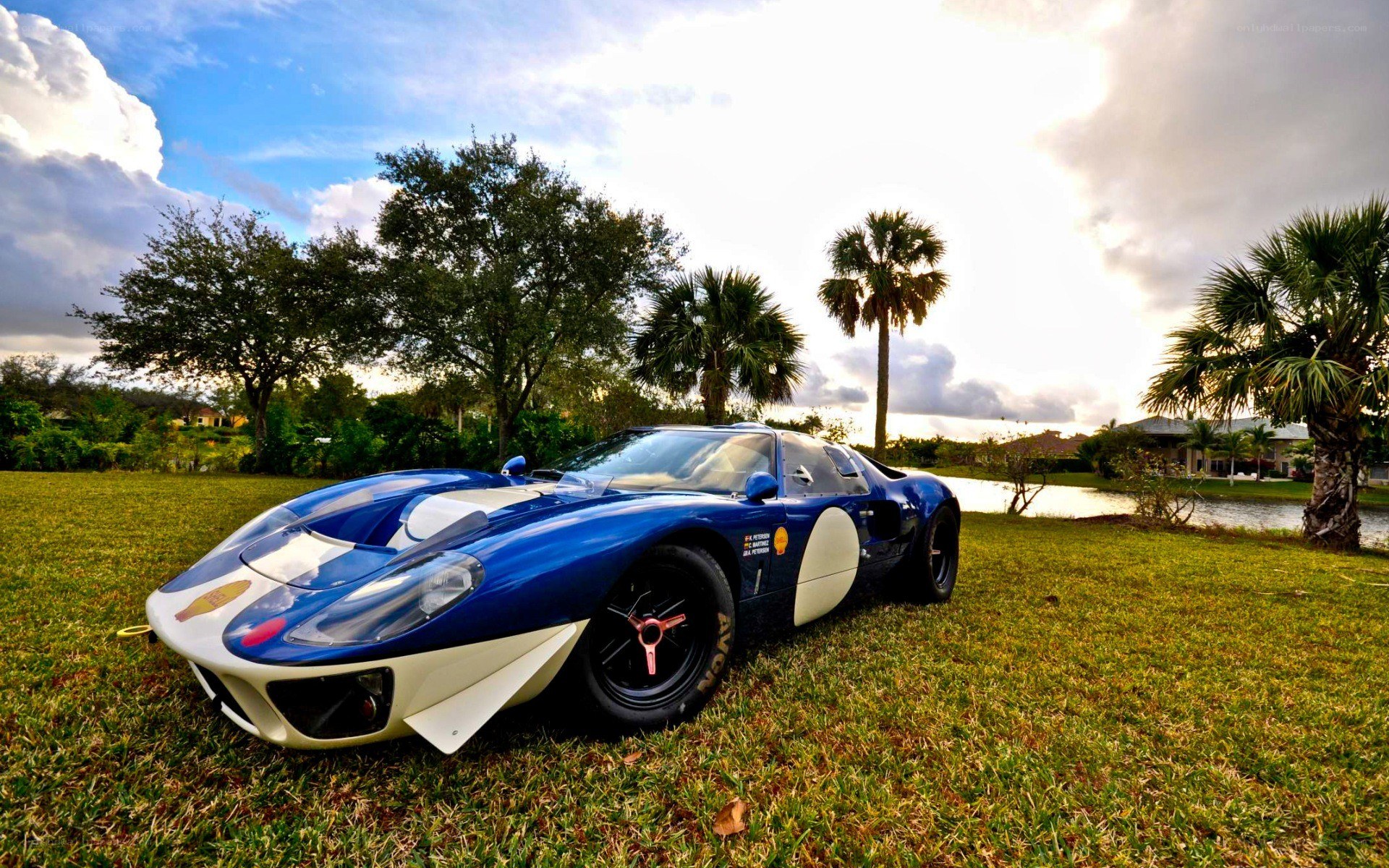 blue race car on grass