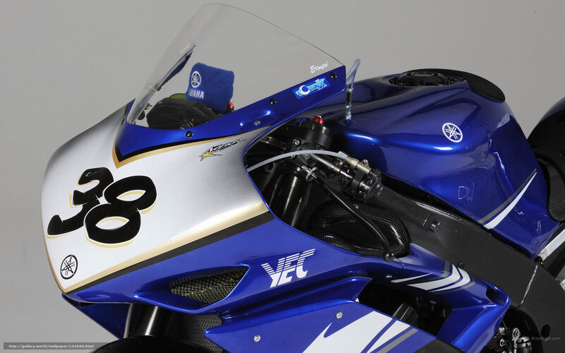 Blue Racing Motorcycle — Neutral, Photograph, Number 38, Windshield