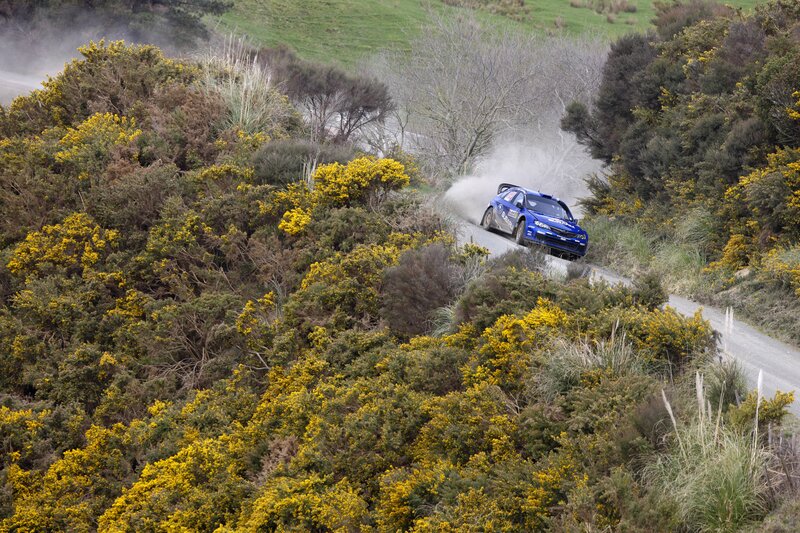 Blue Rally Car — Dynamic, Spring