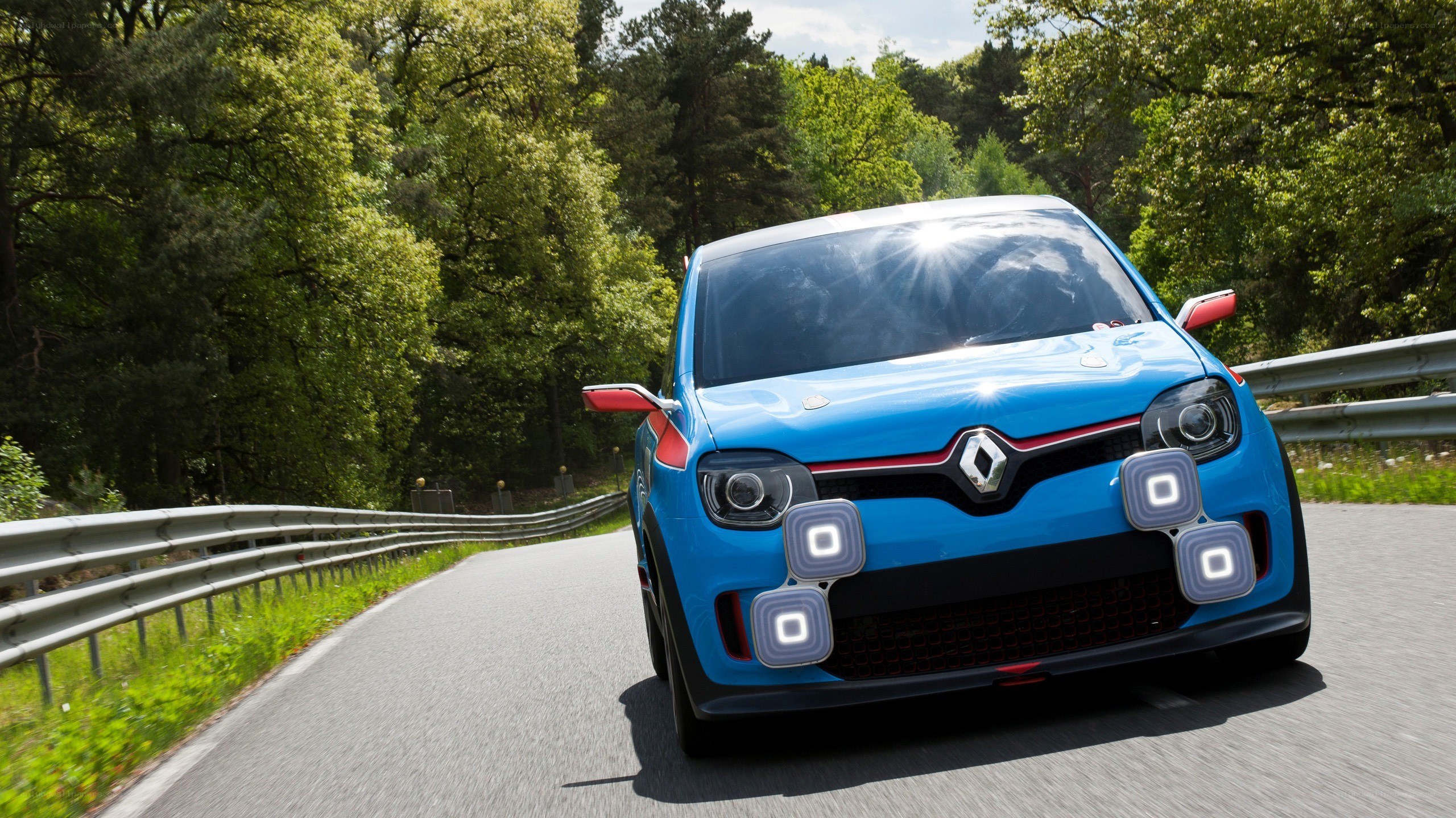 Blue Renault on a forest road