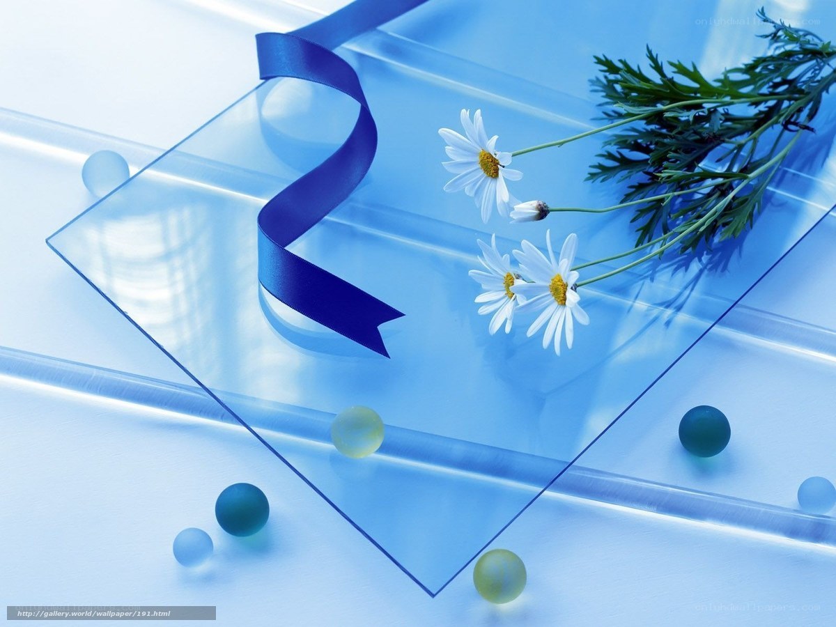 Blue ribbon and daisies