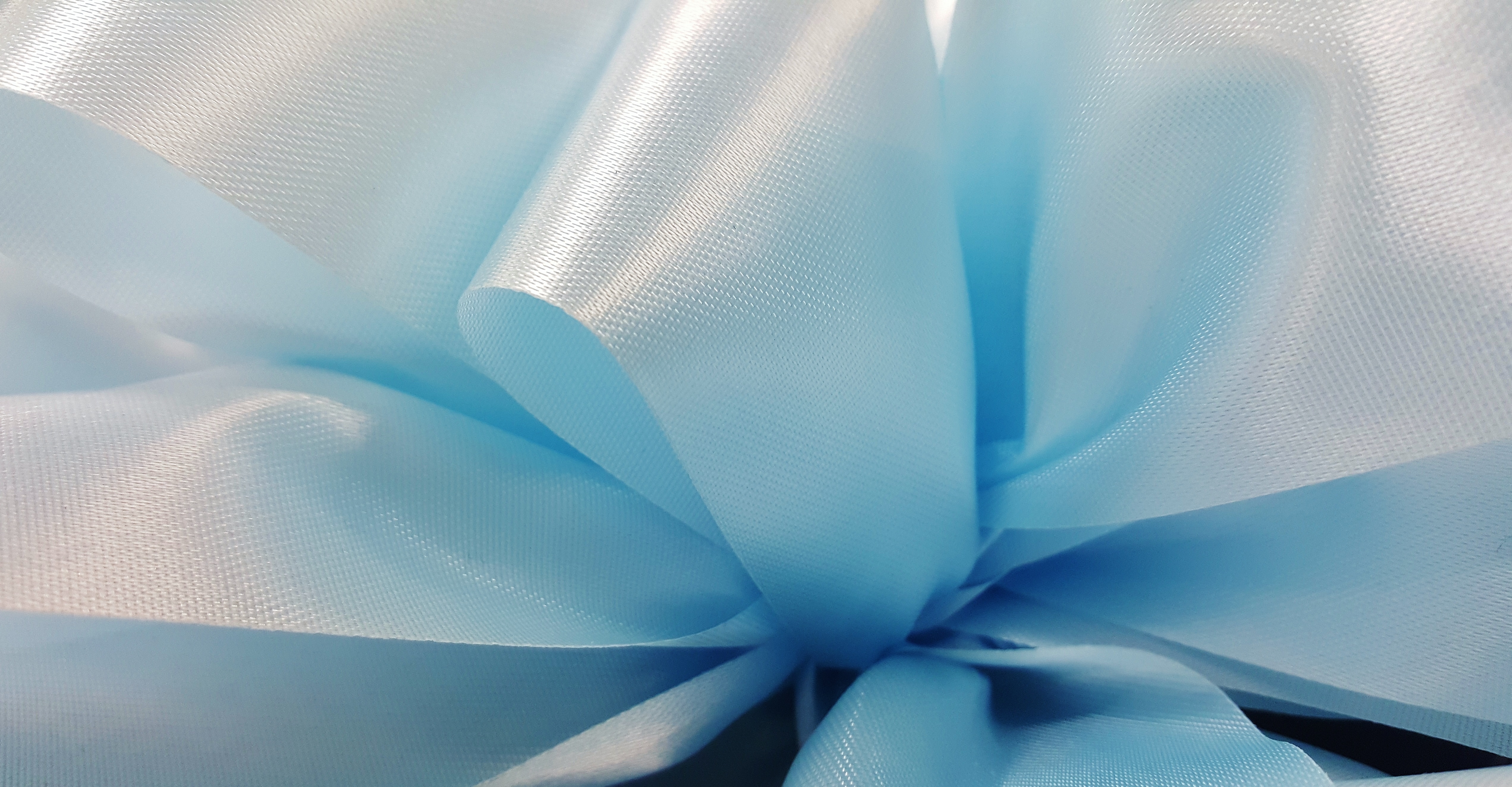 blue ribbon bow close-up