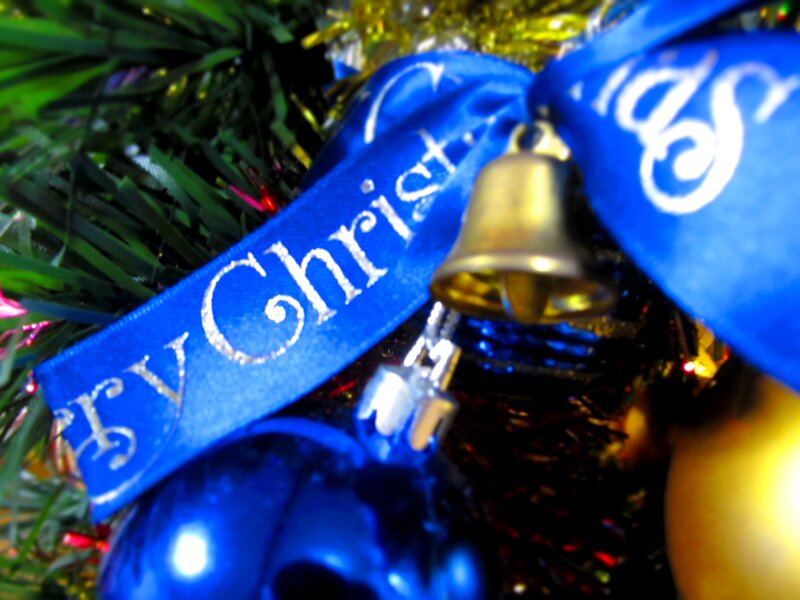 Blue Ribbon on Tree