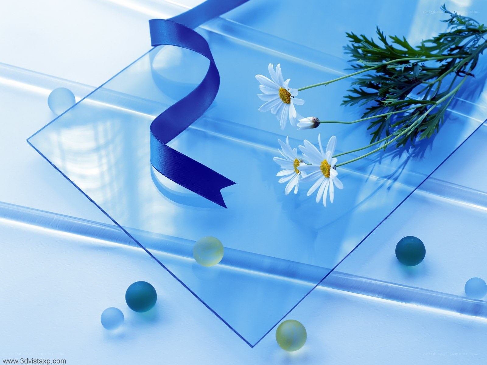 Blue ribbon with daisies