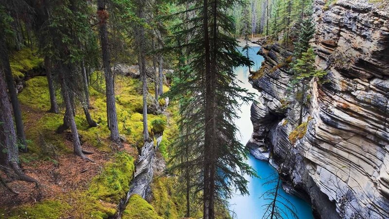 Blue river in forest canyon