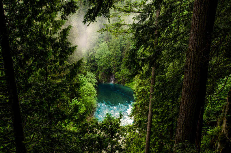 Blue River in Forest — Green
