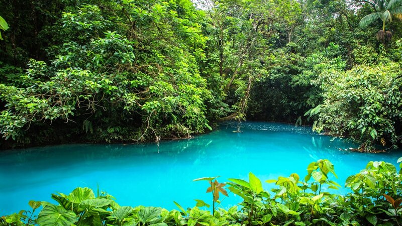 Blue River in Jungle