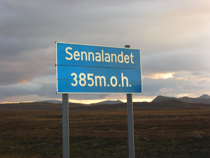 Blue Road Sign in Field