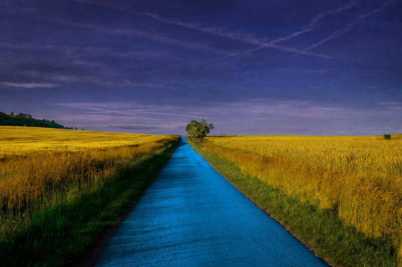 Blue Road Through Fields
