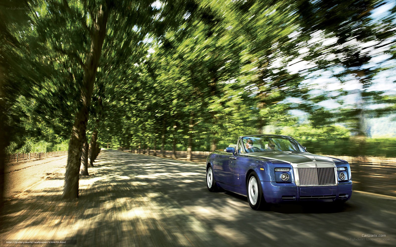 Blue Rolls-Royce convertible on a tree-lined road