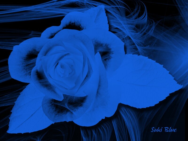 Blue rose abstract art