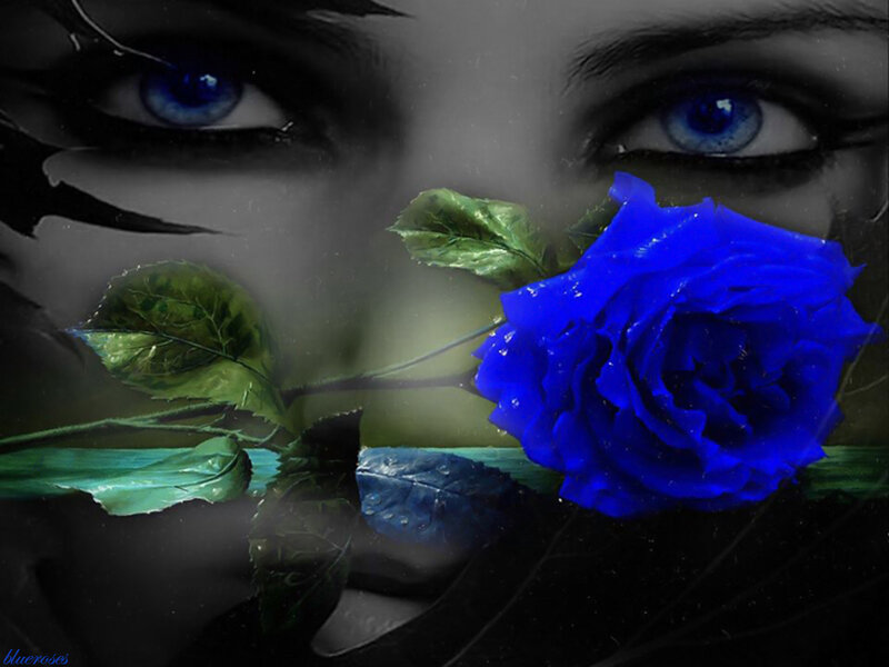 Blue Rose and Eyes