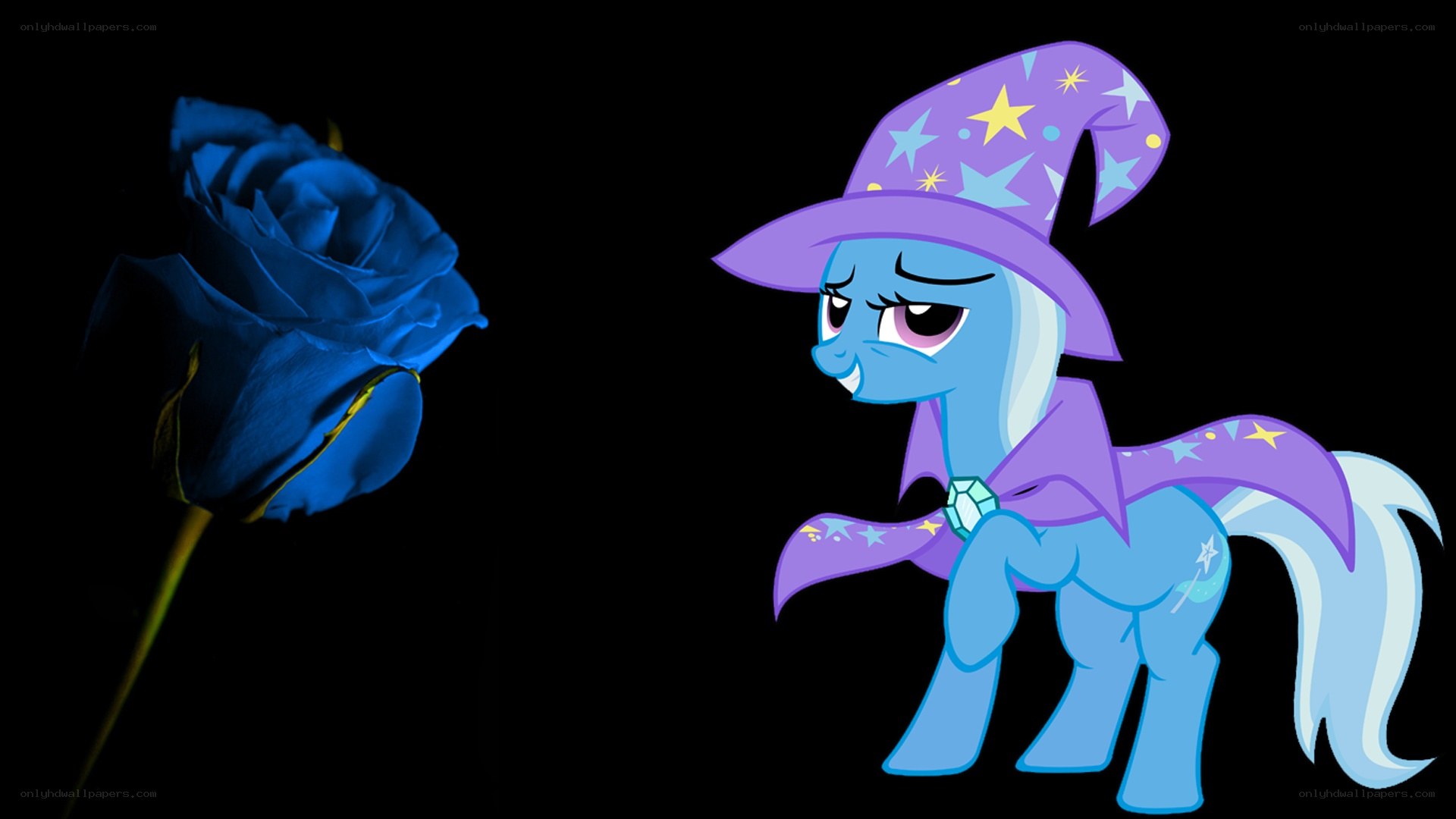 Blue rose and pony