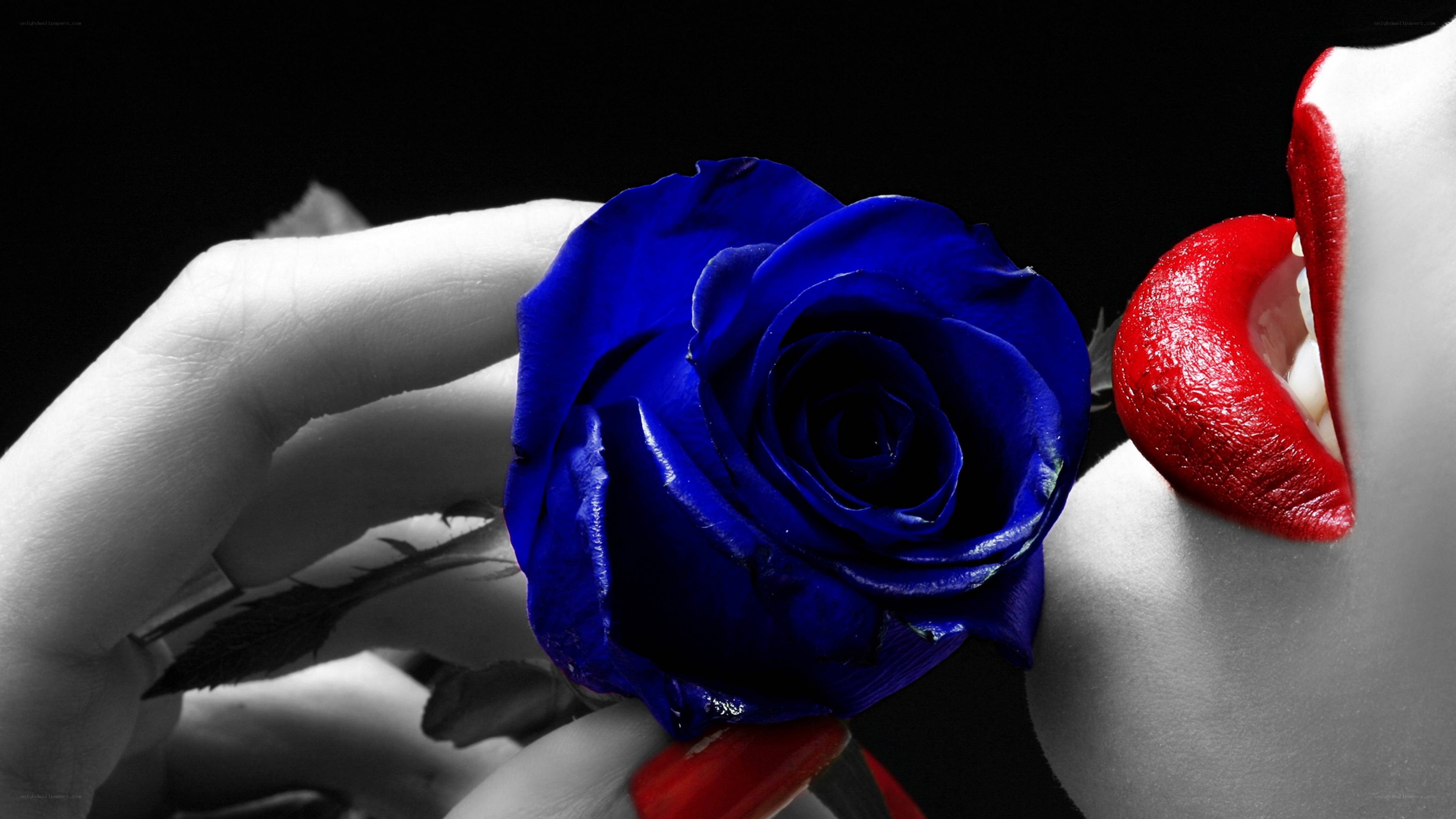 blue rose and red lips